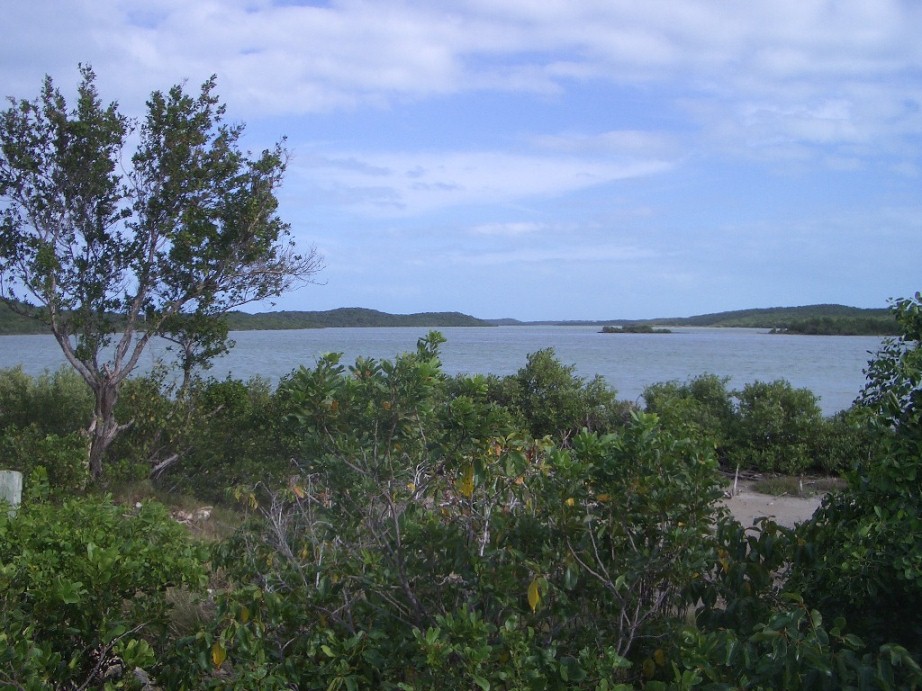 1 - Barataria Island